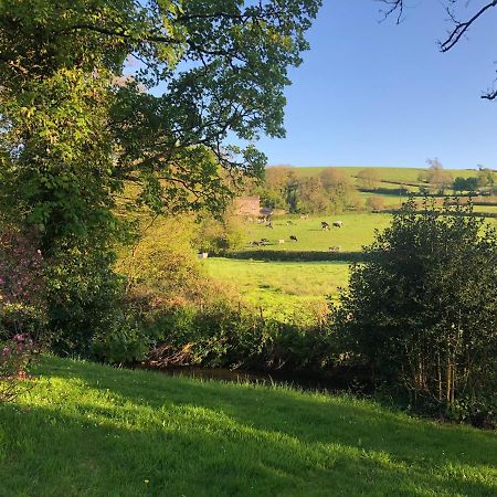Bow Mill Farm Bed & Breakfast Totnes Luaran gambar