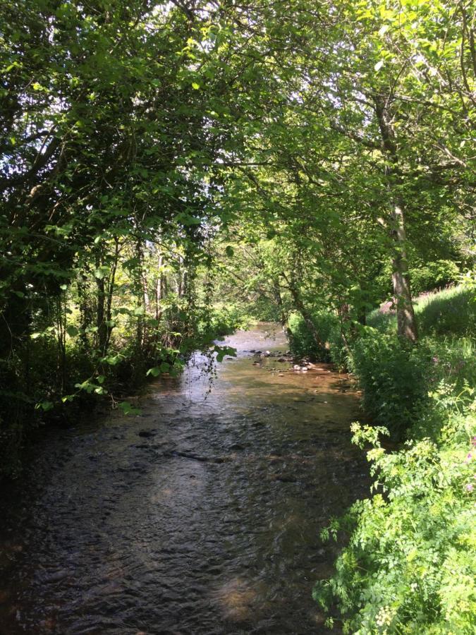 Bow Mill Farm Bed & Breakfast Totnes Luaran gambar