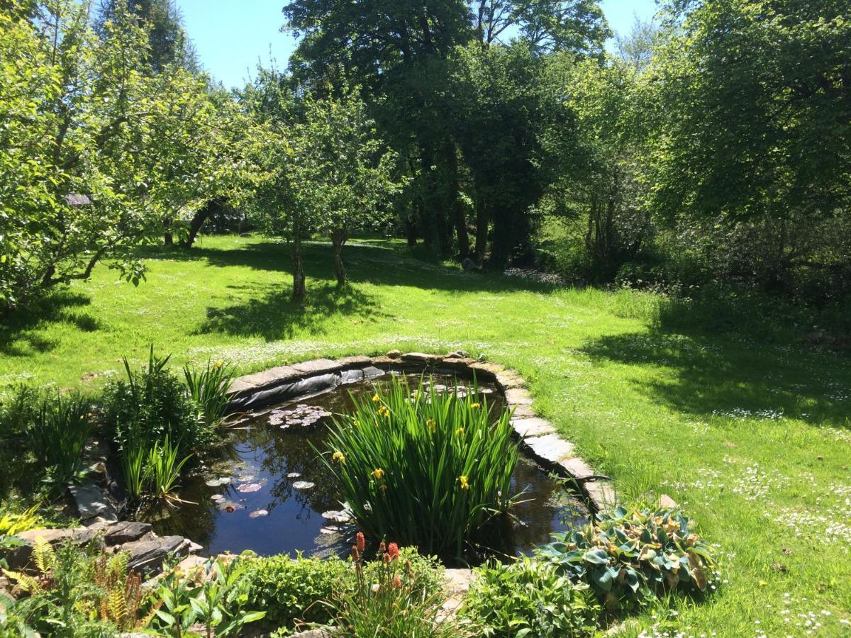 Bow Mill Farm Bed & Breakfast Totnes Luaran gambar