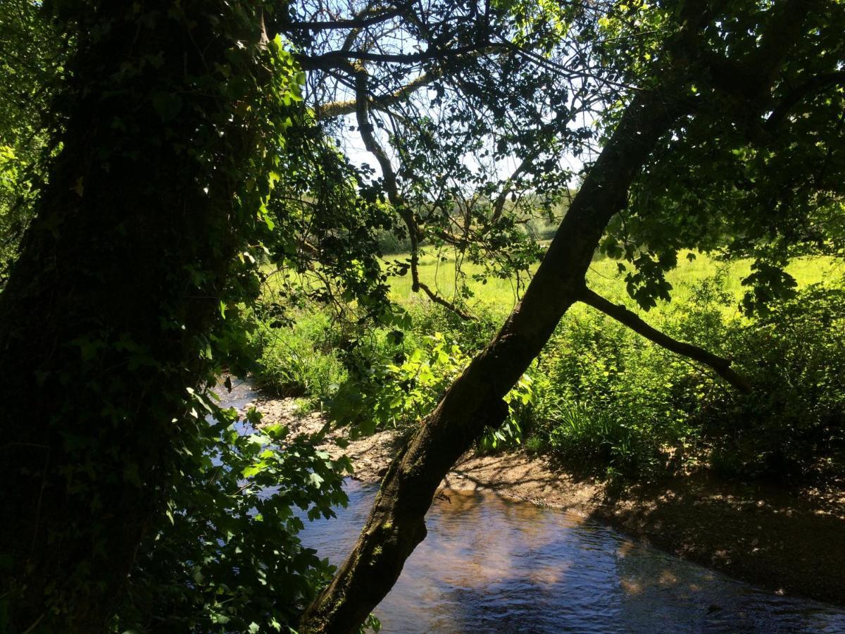 Bow Mill Farm Bed & Breakfast Totnes Luaran gambar