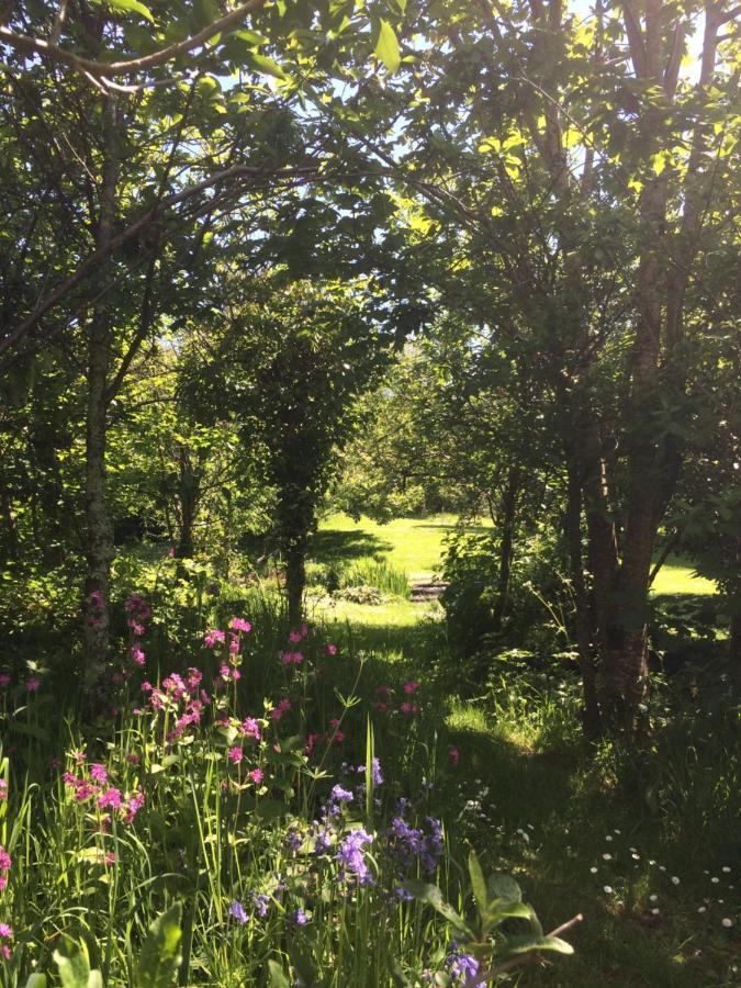 Bow Mill Farm Bed & Breakfast Totnes Luaran gambar