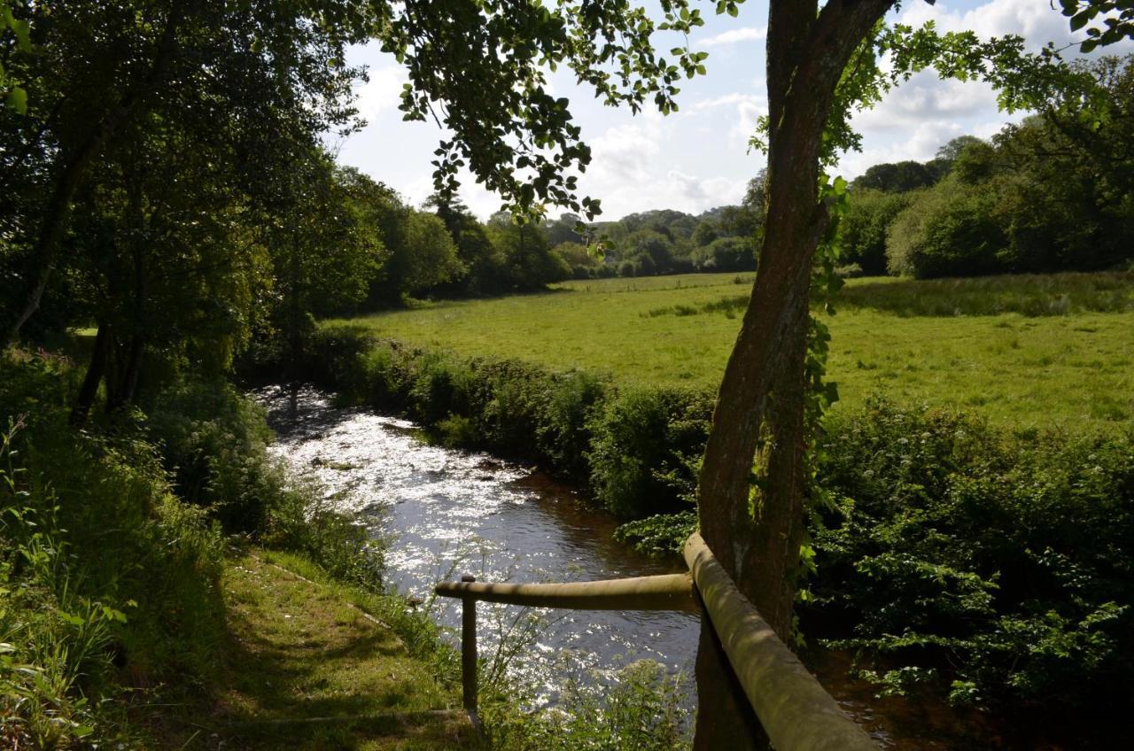 Bow Mill Farm Bed & Breakfast Totnes Luaran gambar