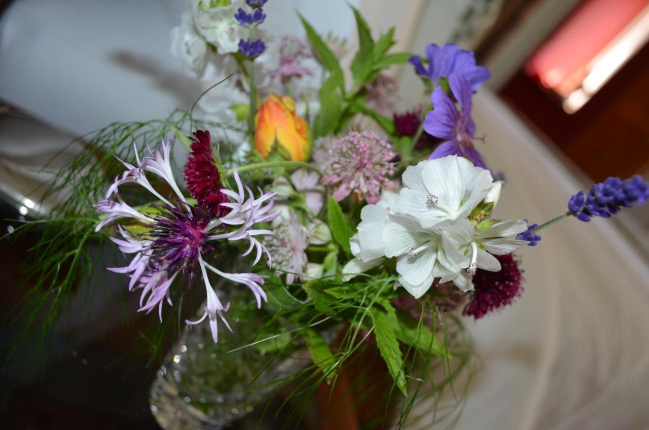 Bow Mill Farm Bed & Breakfast Totnes Luaran gambar